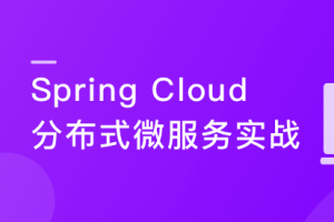 2022升级版Spring Cloud 进阶 Alibaba 微服务体系自媒体实战[26章无密]