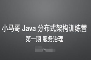 [小马哥]Java 分布式架构训练营第一期 – 服务治理|完结无密